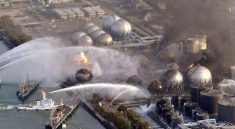 Fukushima Nuclear Disaster Radiation Exposure to Wildlife