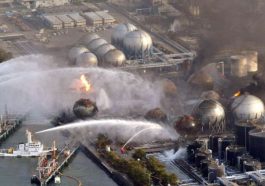 Fukushima Nuclear Disaster Radiation Exposure to Wildlife