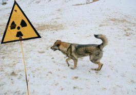 Radiation