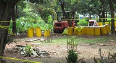 Radioactive Contamination